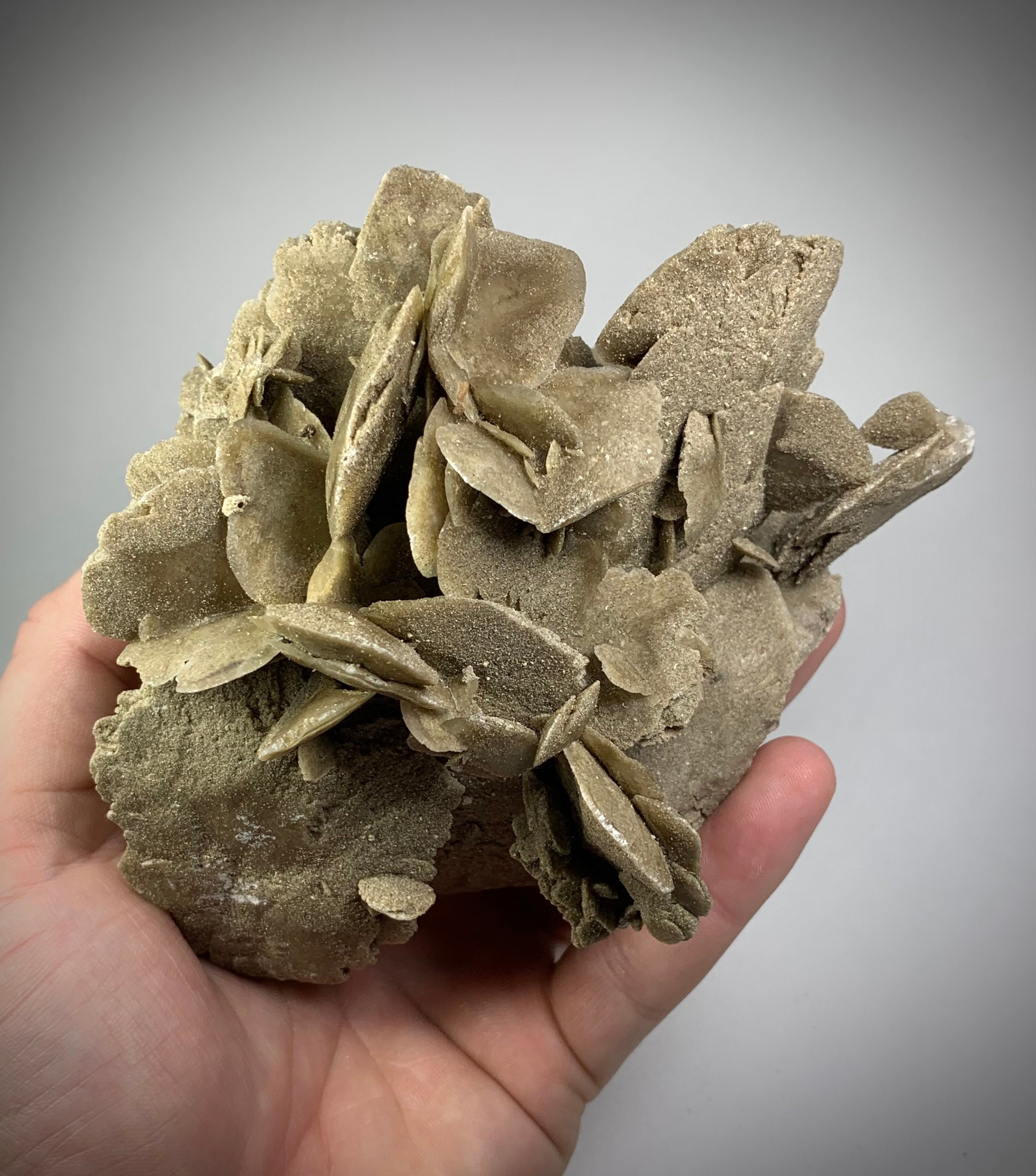 Desert rose crystal - Etsy 日本