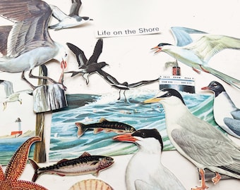 Sea Birds Cotton Fabric Seas the Day Seagull Duck Gull Red Dear Stella FQ//Metre
