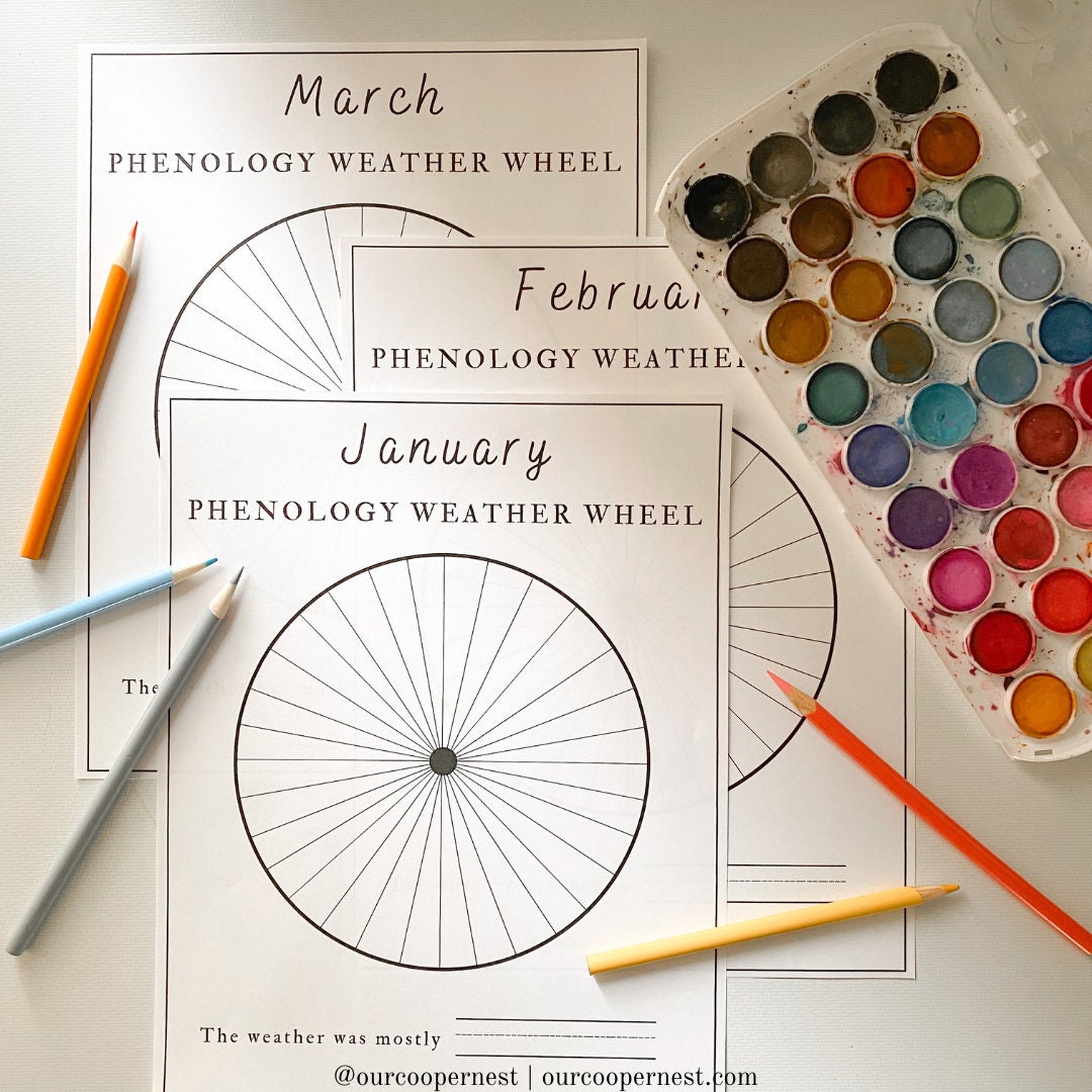 Monthly Phenology Weather Wheel - Etsy