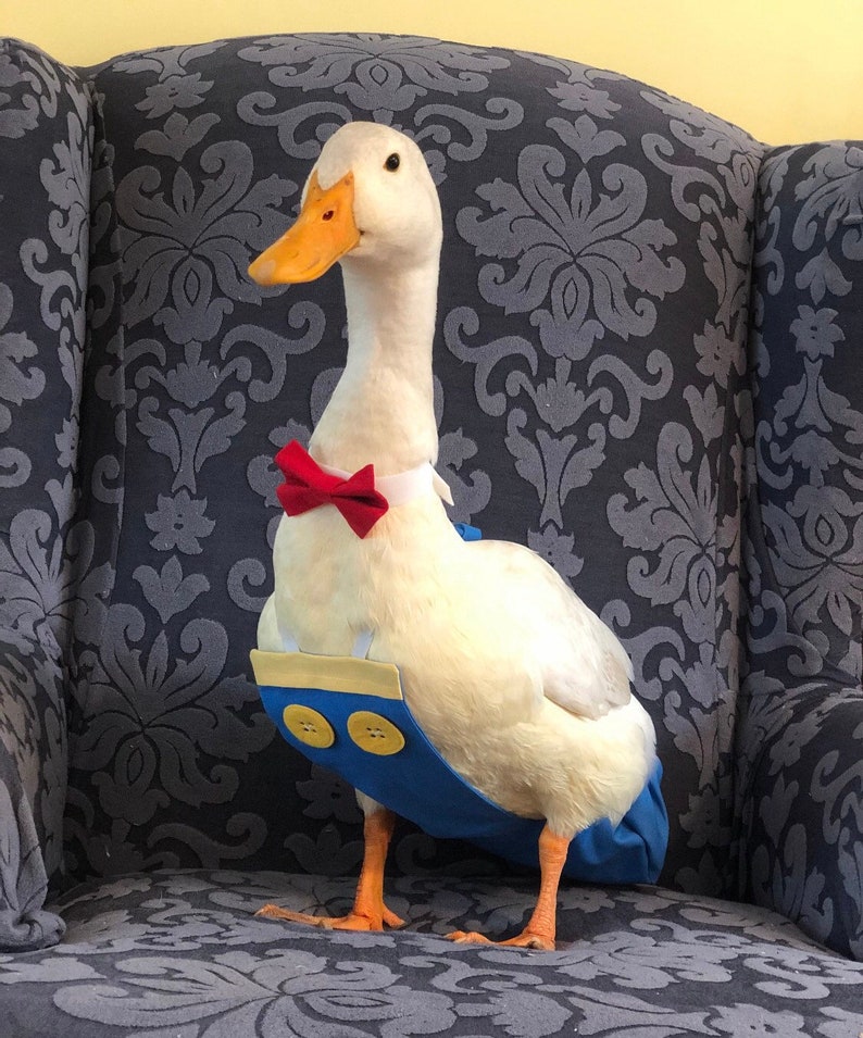 Donald & Daisy Duck Diapers Etsy