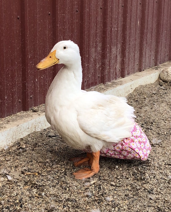 duck diapers