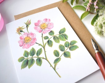 Roses Card, Wild Rose, Rosa Canina, Dog rose, Greeting Card, Art & Illustration, Nature Card, Blank Inside