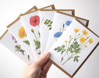 Wildflower Cards, Pack of 6, Greeting Cards, Art & Illustration, Nature Cards, Blank Inside