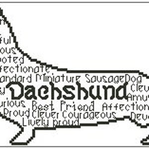 Puede incluir: Ilustración en blanco y negro de un perro Dachshund con palabras que describen sus rasgos de personalidad, como animado, terco, valiente, juguetón, curioso, devoto, cariñoso, inteligente, divertido y orgulloso. Las palabras "Standard Miniature SausageDog" y "Dachshund" también están incluidas en la ilustración.