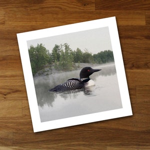 May include: A square print showing a loon on a misty lake. The bird has a black head, white markings, and red eyes. The background features a shoreline with green trees and a foggy sky. The image evokes a sense of calm.