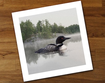 Loon on the Water Unframed Art Print, Wildlife Wall Art, Lakehouse Cottage Decor