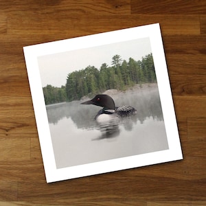 Lake Loon Unframed Fine Art Print from Original Artwork, Frame Your Way Cottage Décor by Hutton Hill Designs