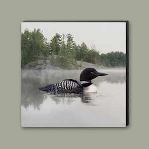 Loon on the Water Canvas Print from Original Artwork, Ready To Hang Lakehouse Cottage Décor
