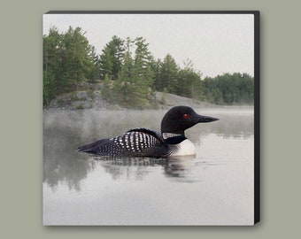 Loon on the Water Canvas Print from Original Artwork, Ready To Hang Lakehouse Cottage Décor