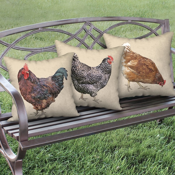 Set of 3 Designer Chicken Pillows from Original Artwork, Modern Farmhouse Décor by Hutton Hill Designs