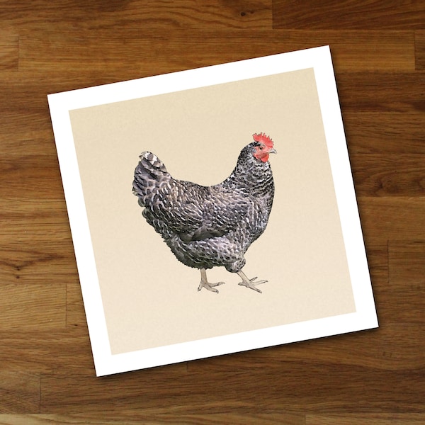 Barred Plymouth Rock Chicken Unframed Fine Art Print from Original Artwork, Frame Your Way Modern Farmhouse