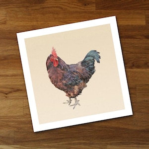 Rhode Island Red Rooster Unframed Fine Art Print from Original Artwork, Frame Your Way Modern Farmhouse