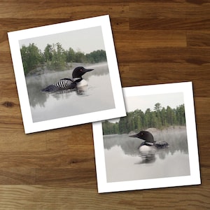 Set of 2 Loon Unframed Art Prints from Original Artwork, Frame Your Way Cottage Décor by Hutton Hill Designs