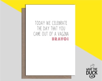 Funny Willy 33rd Birthday Card Ladies Friend BFF Wife Girlfriend Boyfriend