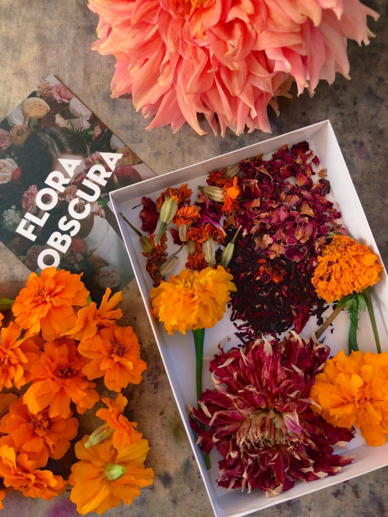 Bundle Dyeing Kit: Dye Your Clothes With Flowers Diy Bundle | Etsy