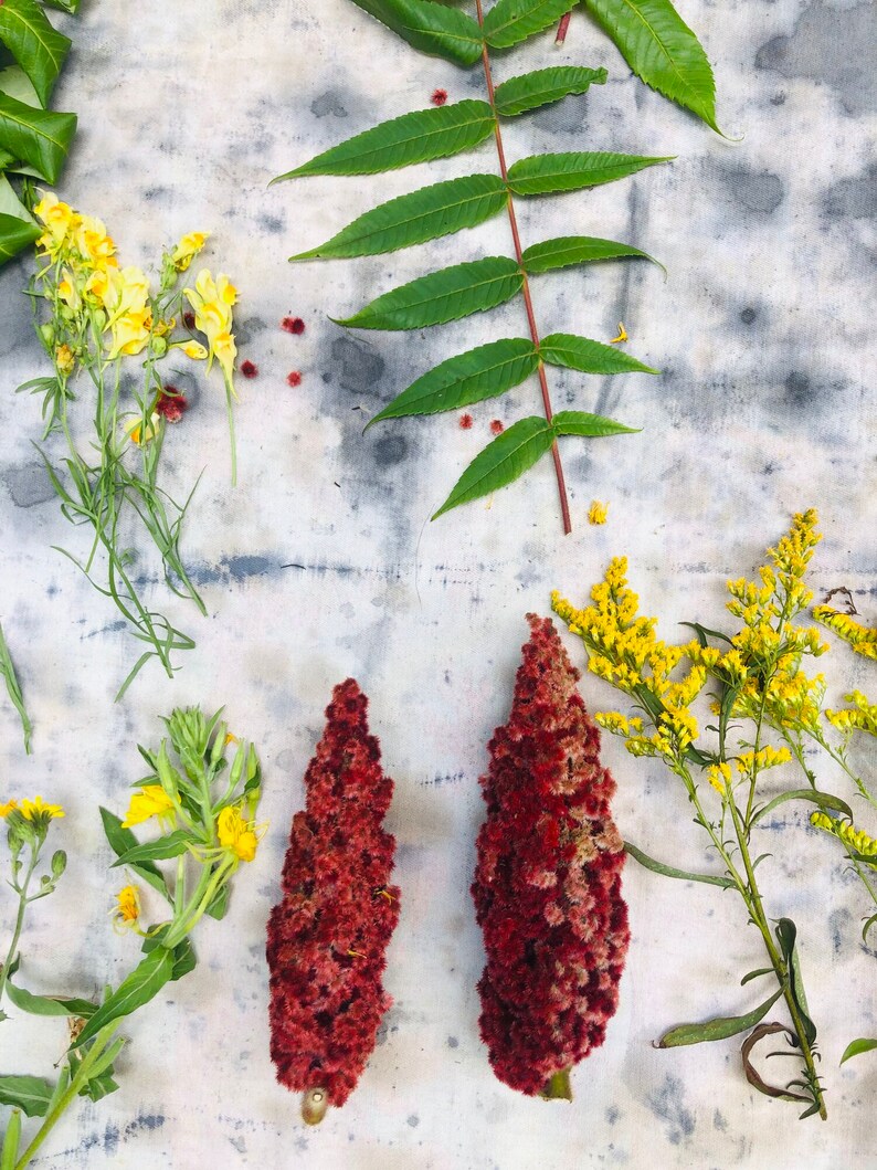 Bundle Dyeing Kit Dye Your Clothes With Flowers Diy Bundle Etsy