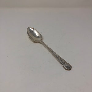 May include: A silver teaspoon with an ornate design on the handle.