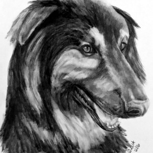 11x14&quot; custom pencil portrait of your pet