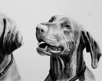 Gift certificate for custom pet portrait