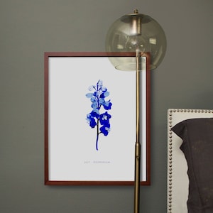 July Birth Month Flower - Delphinium Digital Print
