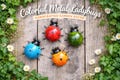 Cute Ladybug Garden 3D Metal Wall Art, Outdoor Yard Decor, Patio Fence Sculpture, Hand-Painted Rust-Resistant Ladybug,Gift for Garden Lovers