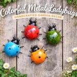 Ladybug Home Decor