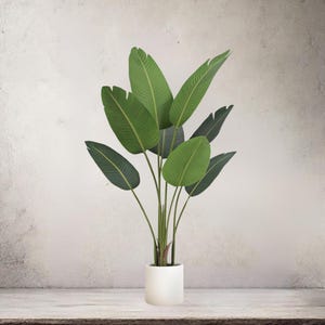 May include: A tall, artificial plant with large, green leaves and a white cylindrical pot. The leaves have a prominent vein pattern and are arranged in a fan-like shape. The plant is set against a neutral, textured background, creating a clean, modern aesthetic.