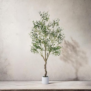 May include: A faux olive tree in a white pot. The tree has a slender, twisted trunk and is filled with green leaves and small, dark olive-like details. The pot is a simple, modern design. The tree is placed on a light-colored surface against a neutral wall.