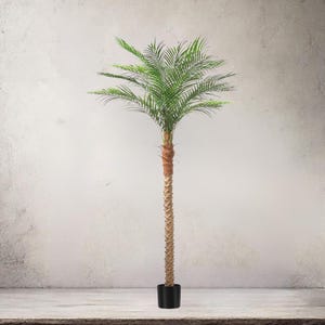 May include: A tall artificial palm tree with a slender, textured trunk and vibrant green fronds. The tree is potted in a simple black container, offering a touch of tropical decor. The tree stands approximately 6 feet tall.