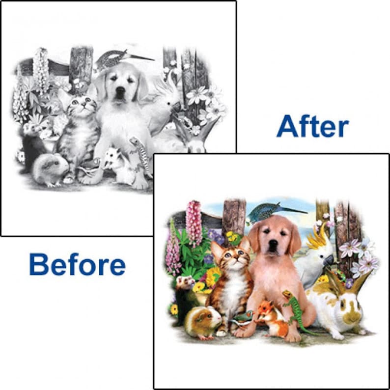 Pet Party Color ~ KIDS ~ Changing T-Shirt ~ Solar Transfer Youth