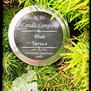 Blue Spruce Scented Candle - 100% Soy Wax, Handmade, and Hand-Poured