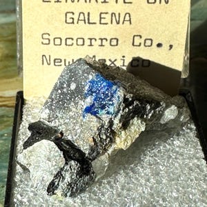 May include: A mineral specimen of linarite on galena from Socorro County, New Mexico, displayed in a clear plastic box. The specimen features a metallic gray galena base with a vibrant blue linarite crystal cluster and black mineral inclusions.