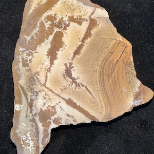 Owyhee Picture Jasper slab