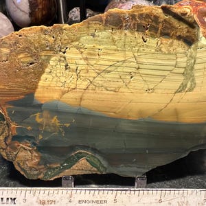 Blue Mountain Jasper orby slab