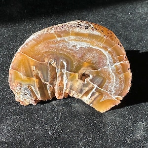 Rare Coyamito Pseudomorph Agate - polished