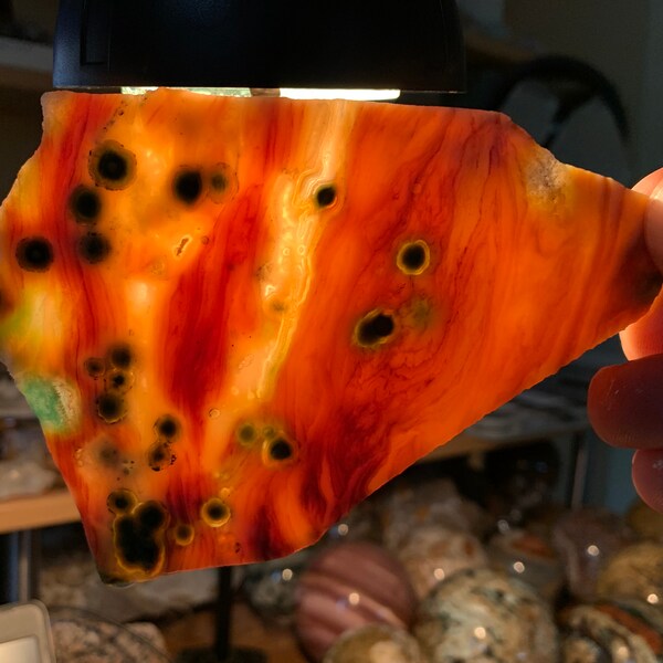 Old World Morovato Ocean Jasper collector slab