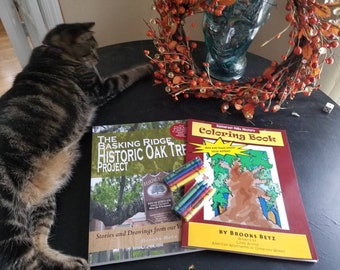 SAVE 25% - Two great books plus bonus- Cat not included :)