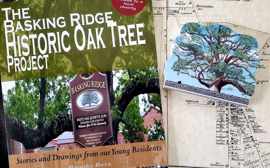 Basking Ridge, NJ BUNDLE SPECIAL - Historic Oak Tree Book & Keepsake - Etsy