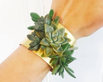 succulent bracelet | floral cuff | corsage | living jewelry