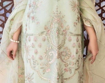 Fancy Embroidered party dress