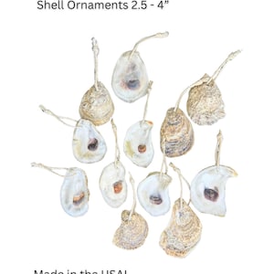 24 PCS 2.5 - 4&quot; oyster shell Christmas ornaments - Great for crafts or beautiful how they are!