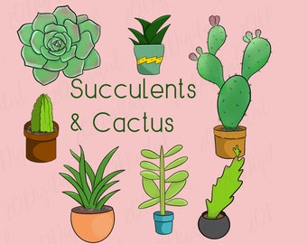 May include: A collection of succulents and cactus plants in pots. The plants are green and have different shapes and sizes. The text "Succulents & Cactus" is written in black letters on a pink background.