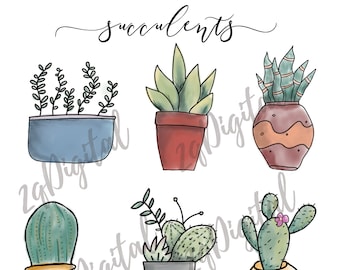 Featured image of post Succulent Plant Sketches Red orange a collection of different succulents in different pots just sitting there happy waiting for a new home on