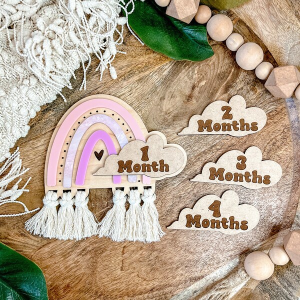 Boho Rainbow Milestone Set (Pink)