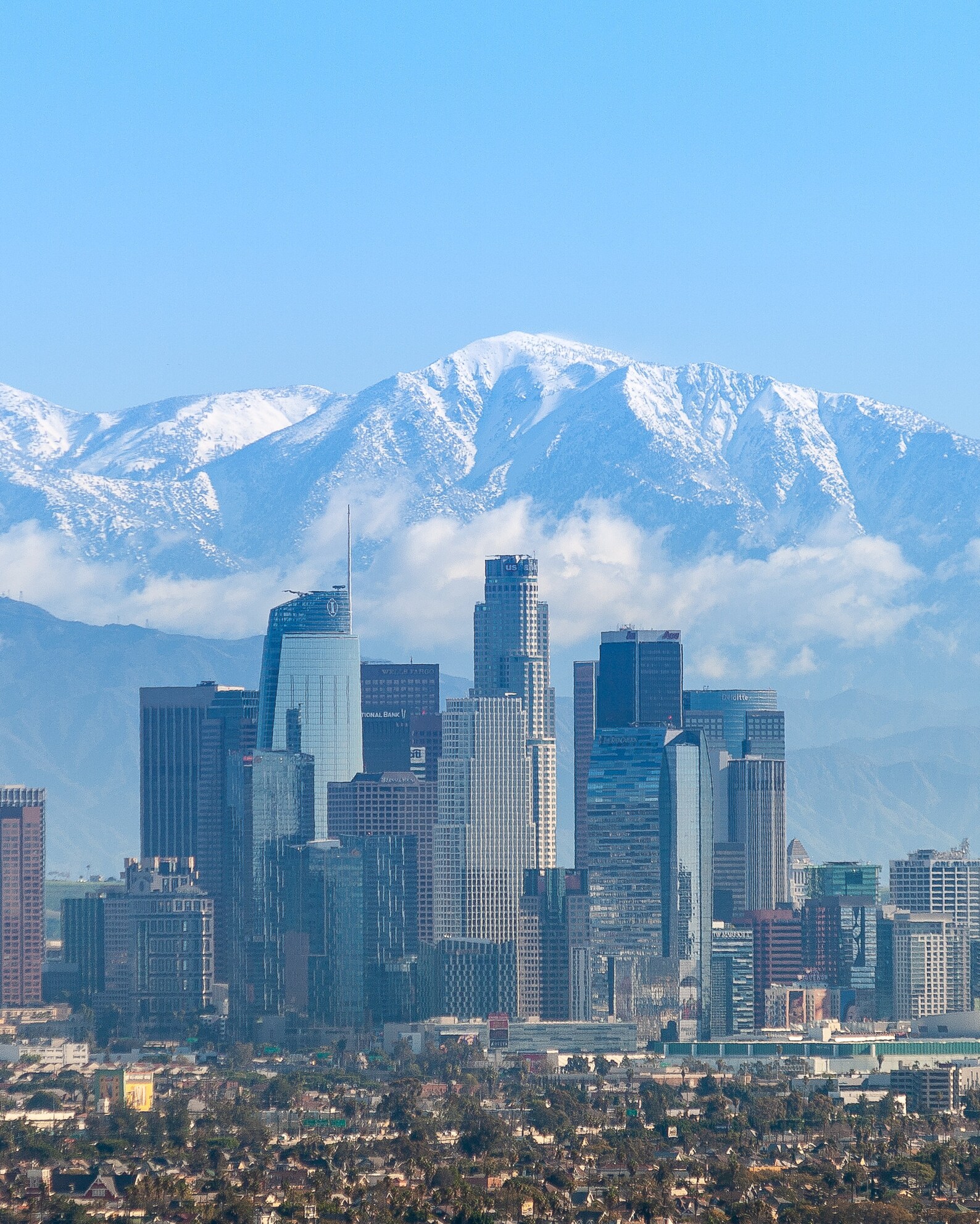 Los Angeles Skyline in Winter Etsy
