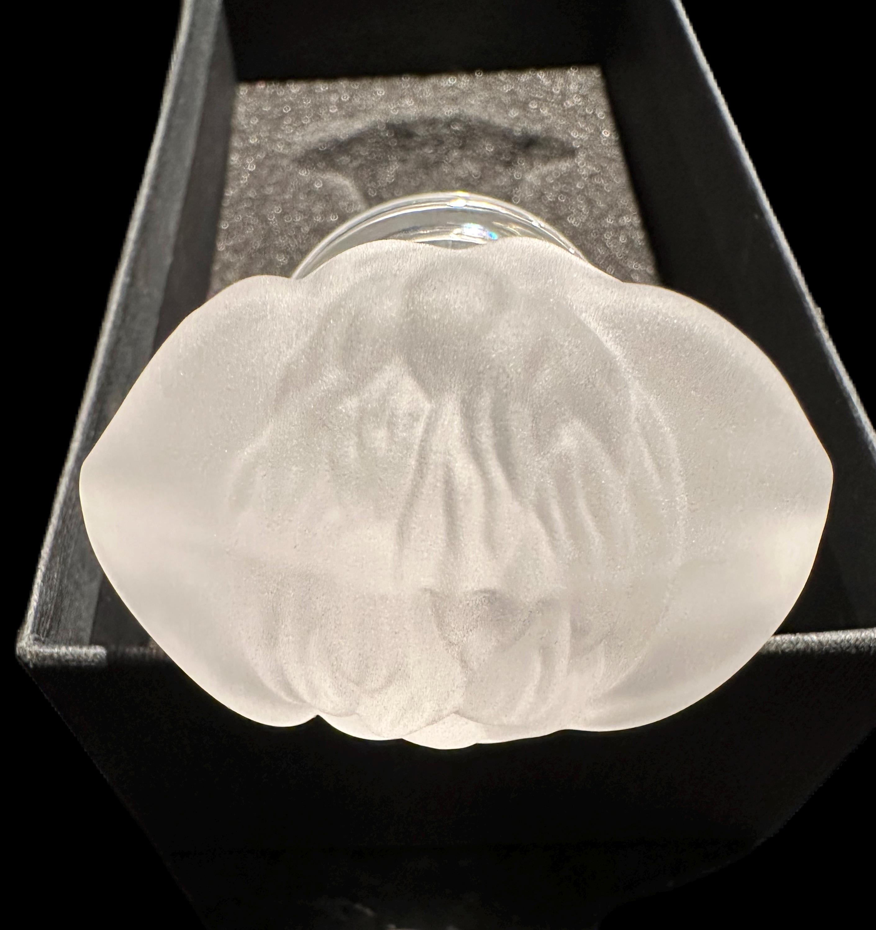 Versace by Rosenthal Clear and Frosted Medusa Lumiere Bottle
