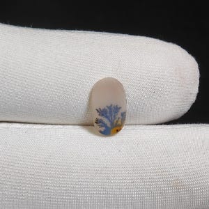 Natural Dendritic Agate Gemstones Dendritic quartz Loose Stone Cabochon For Making Jewelry 2 Ct 12X7X2 MM
