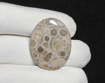 Christmas Gift Natural Fossil Coral Cabochon Loose Gemstone For Making Jewelry Fossil Coral Stone 38 Ct. 34X27X5 mm