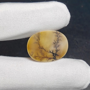 Natural Dendritic quartz Agate Gemstones Dendritic Agate Loose Stone Cabochon For Making Jewelry 7 Ct 23X17X2 MM