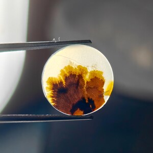 Designer Cabochon Dendritic quartz Cabochon Natural Dendritic Agate Round Shape Gemstone dendritic Shazar agate 3 Cts 16X16X2 MM